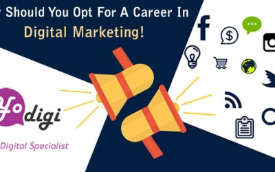 Why Should You Opt For A Career In Digital Marketing!